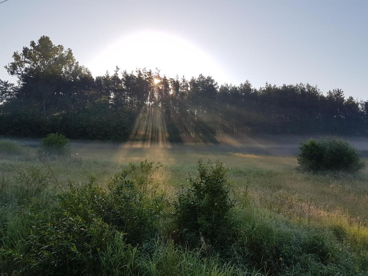 Domki Drewniane Przystan Kajaczek Villa Bialobrzegi  Luaran gambar